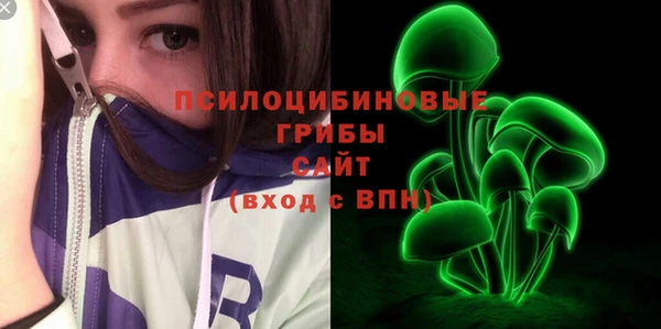 мдпв Богородицк