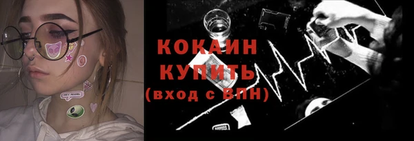 мдпв Богородицк