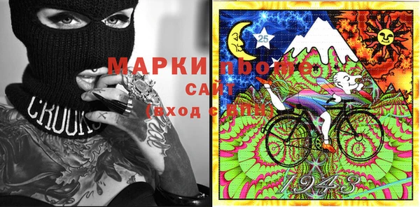 мдпв Богородицк
