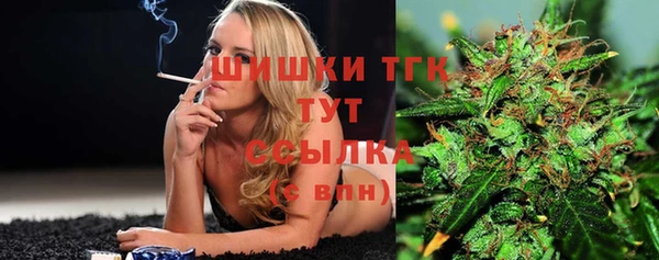 мдпв Богородицк